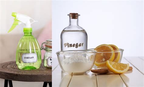 difference between white vinegar and cleaning.